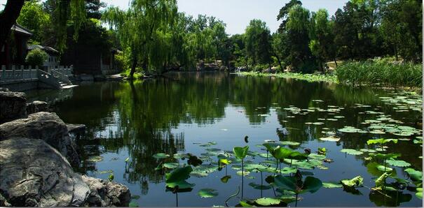 参观清华小程序,清华大学参考预约小程序入口