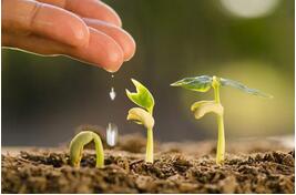 农业管家APP开发:促进农业科学管理