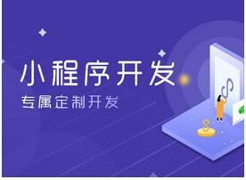 定制化小程序开发 定制化小程序开发