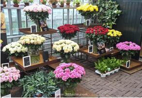 花店小程序开发 花店小程序开发