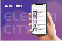 电商小程序开发 电商小程序开发